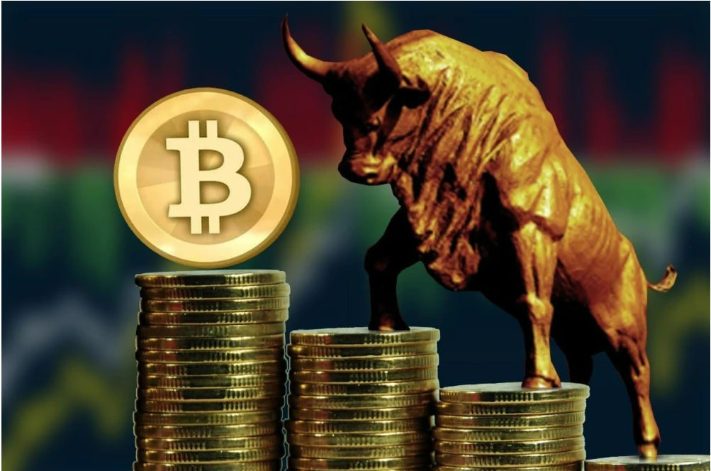 专业配资股票公司 深圳撑港青立业 港青促深港融合